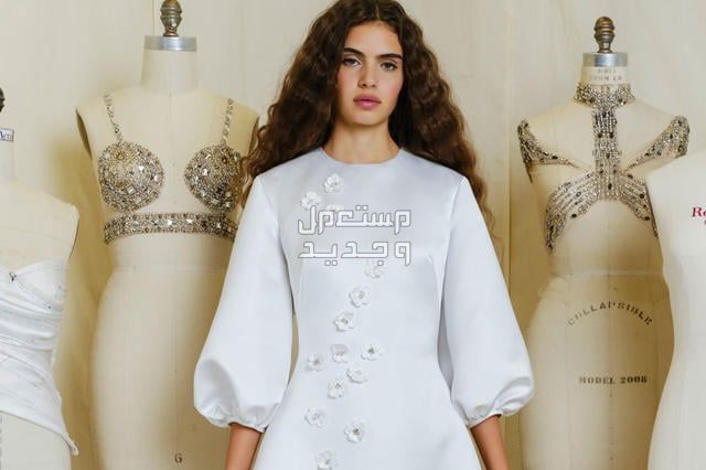 فساتين زفاف ملكية للمحجبات 2024 والأسعار كاملة في البحرين فستان زفاف ناعم يناسب المحجبات