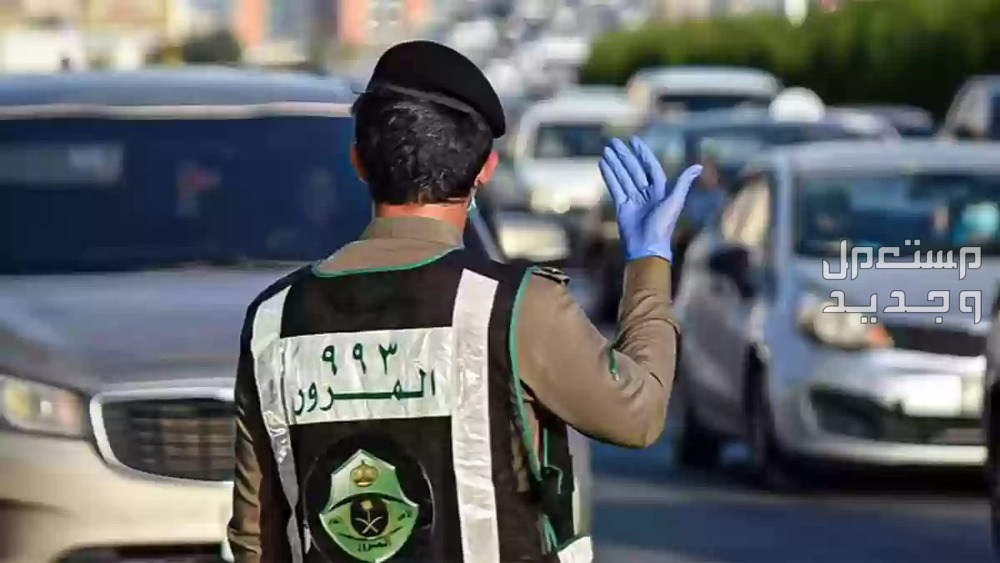 طريقة الاستعلام عن رخصة القيادة بالاسم والرقم القومي في الأردن المرور