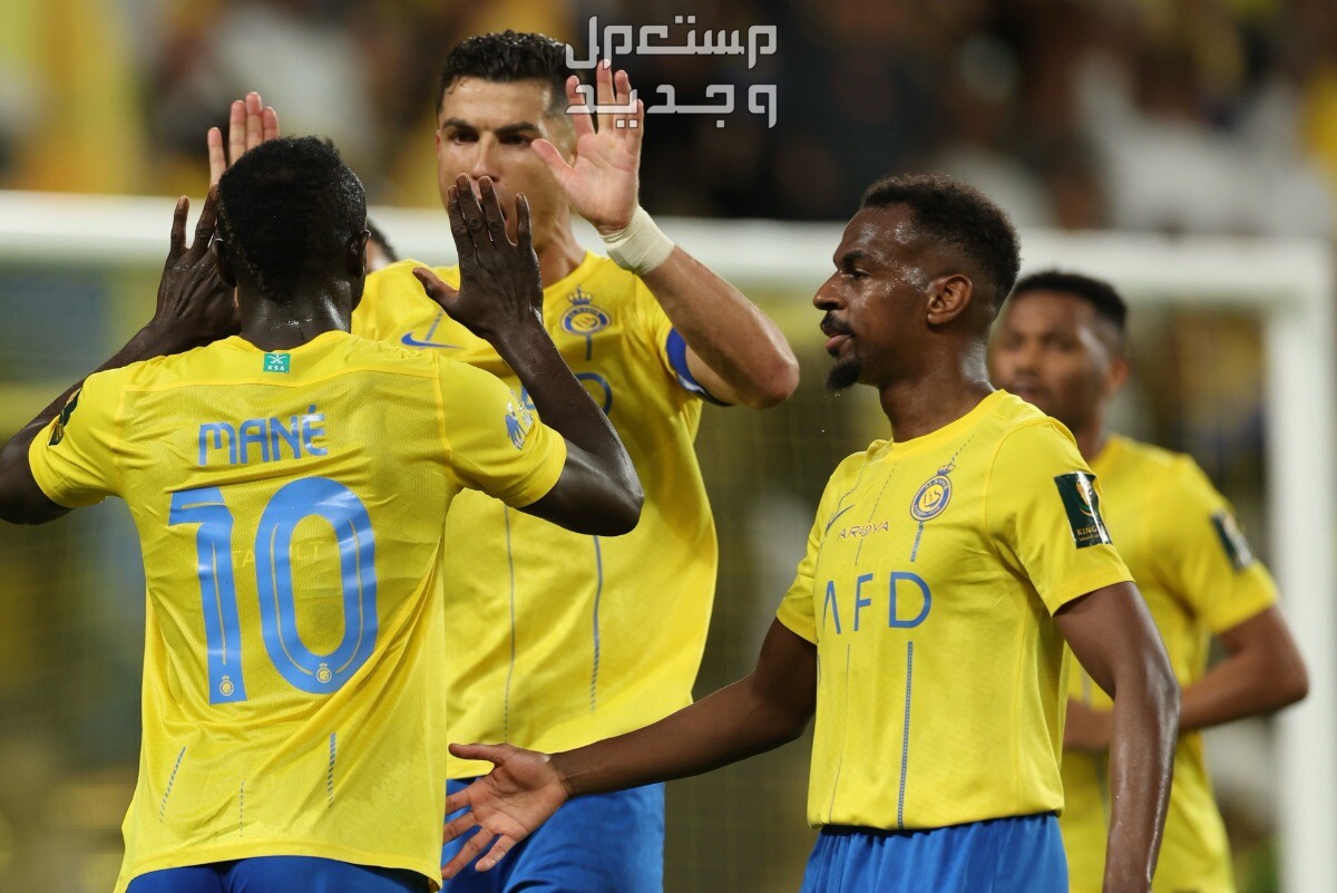 رابط حجز مباراة الهلال في نهائي كأس الملك السعودي 2024 في جيبوتي فريق نادي النصر