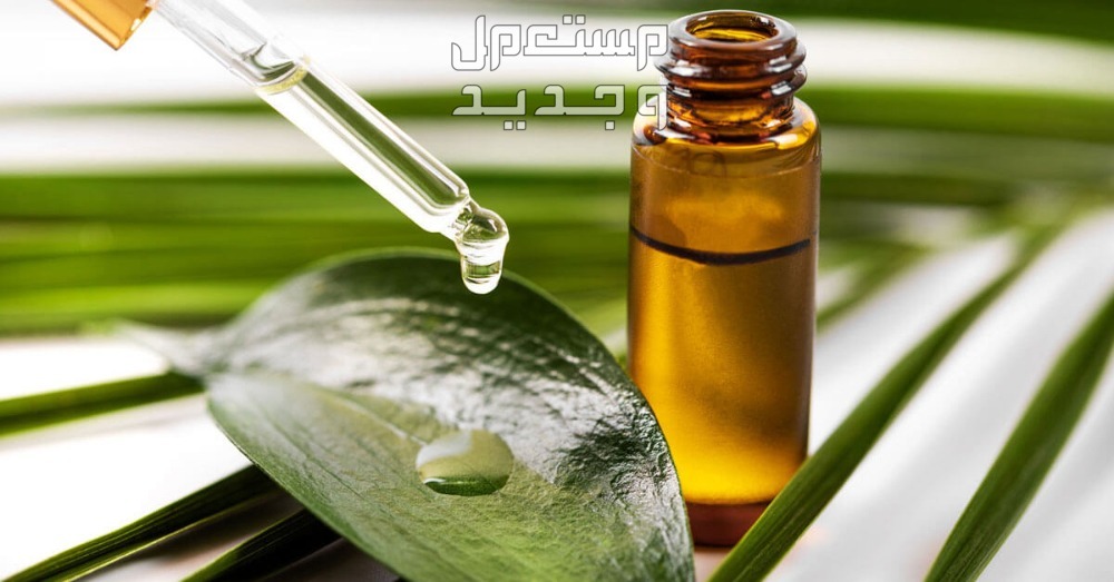 كيفية التخلص من بق الفراش بطرق طبيعية زيت شجرة الشاي