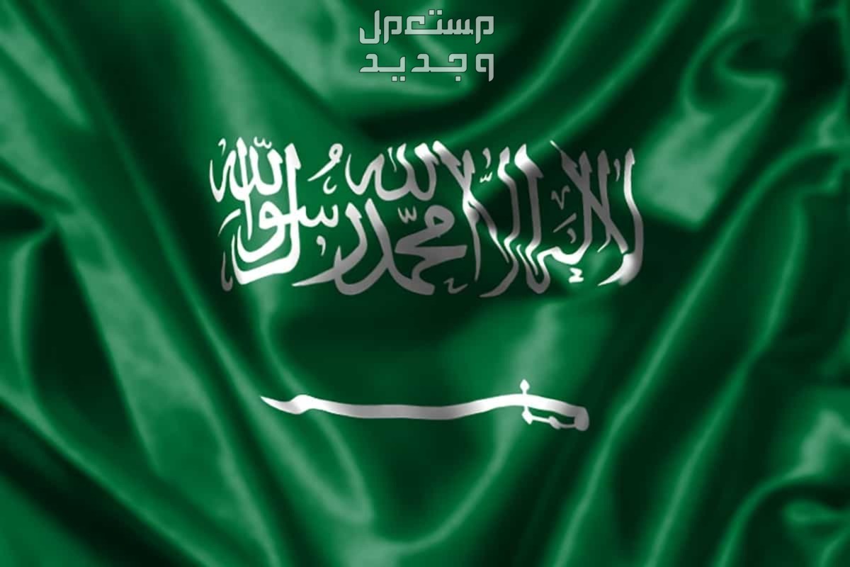 عبارات قصيرة عن اليوم الوطني السعودي 1446 في موريتانيا اليوم الوطني السعودي