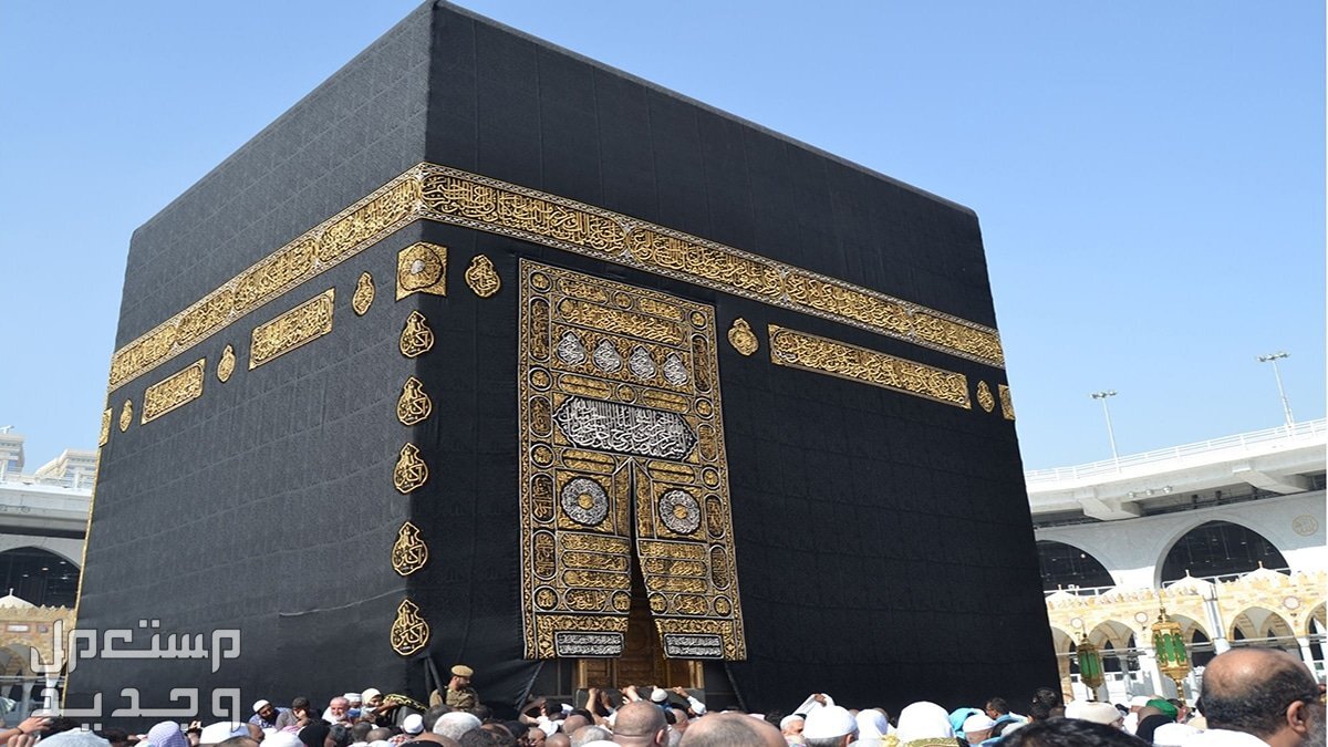 كيفية التسجيل في مسار الحج 1445.. الرابط والخطوات أداء فريضة الحج