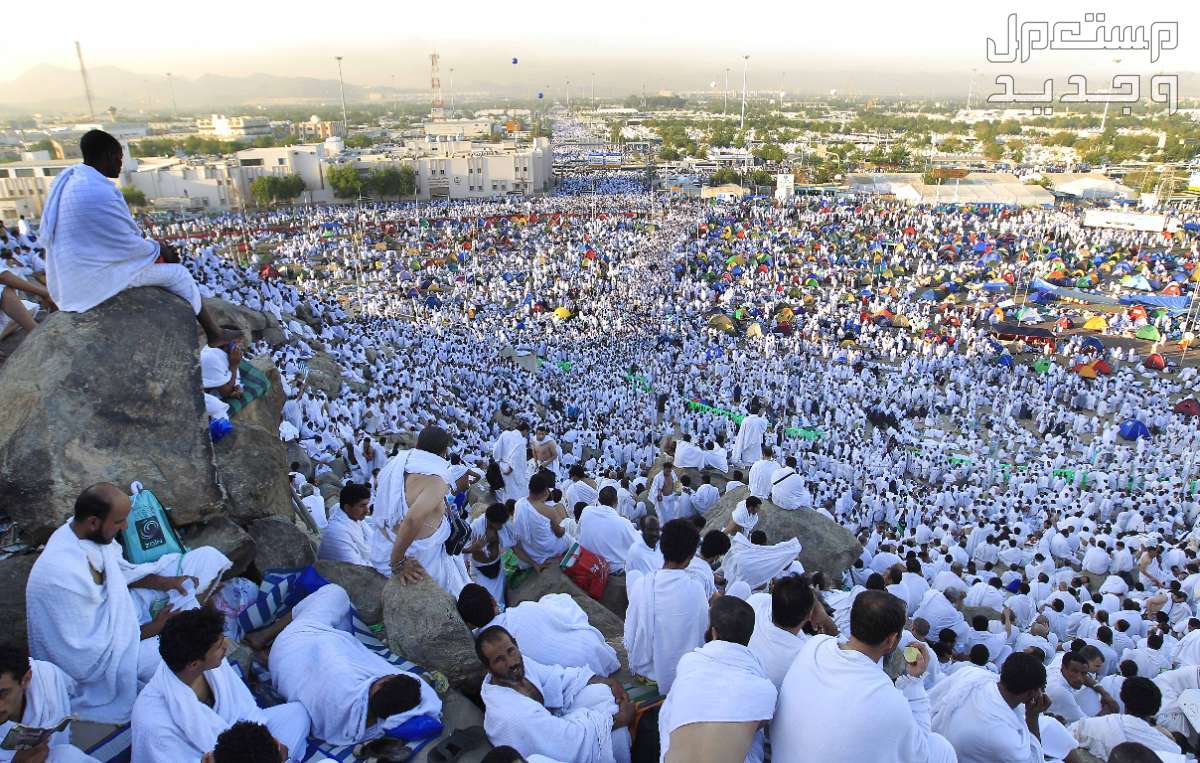 موضوع تعبير عن عيد الأضحى المبارك 2024 صورة مناسبة لـ تعبير كتابي عن عيد الأضحى للسنة الأولى متوسط