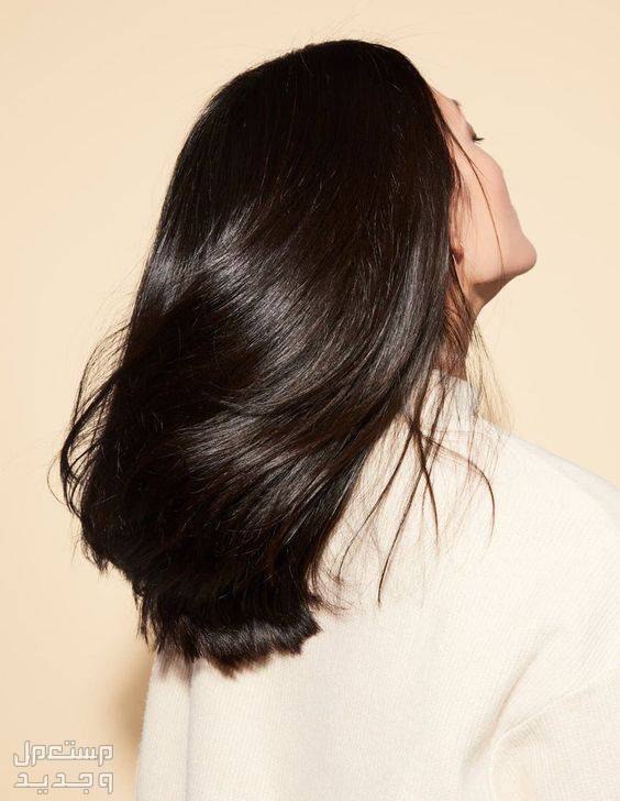 أسباب تساقط الشعر عند النساء وعلاجه مراحل تساقط الشعر