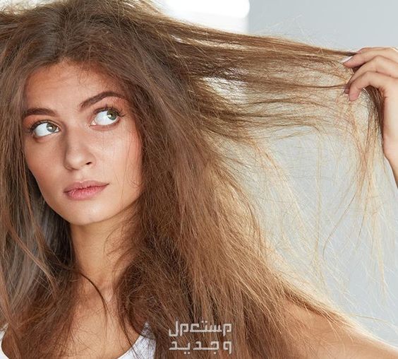 أسباب تساقط الشعر عند النساء وعلاجه في لبنان تقوية فروة الرأس