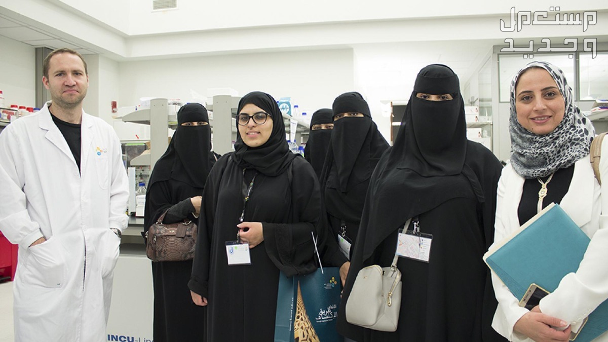 رابط التقديم على وظائف جامعة جدة 2024 في الإمارات العربية المتحدة طاقم تدريس