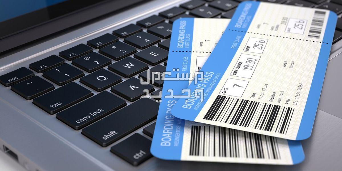 عروض مصر للطيران 2024.. تذاكر بأسعار مخفضة 50% في قطر