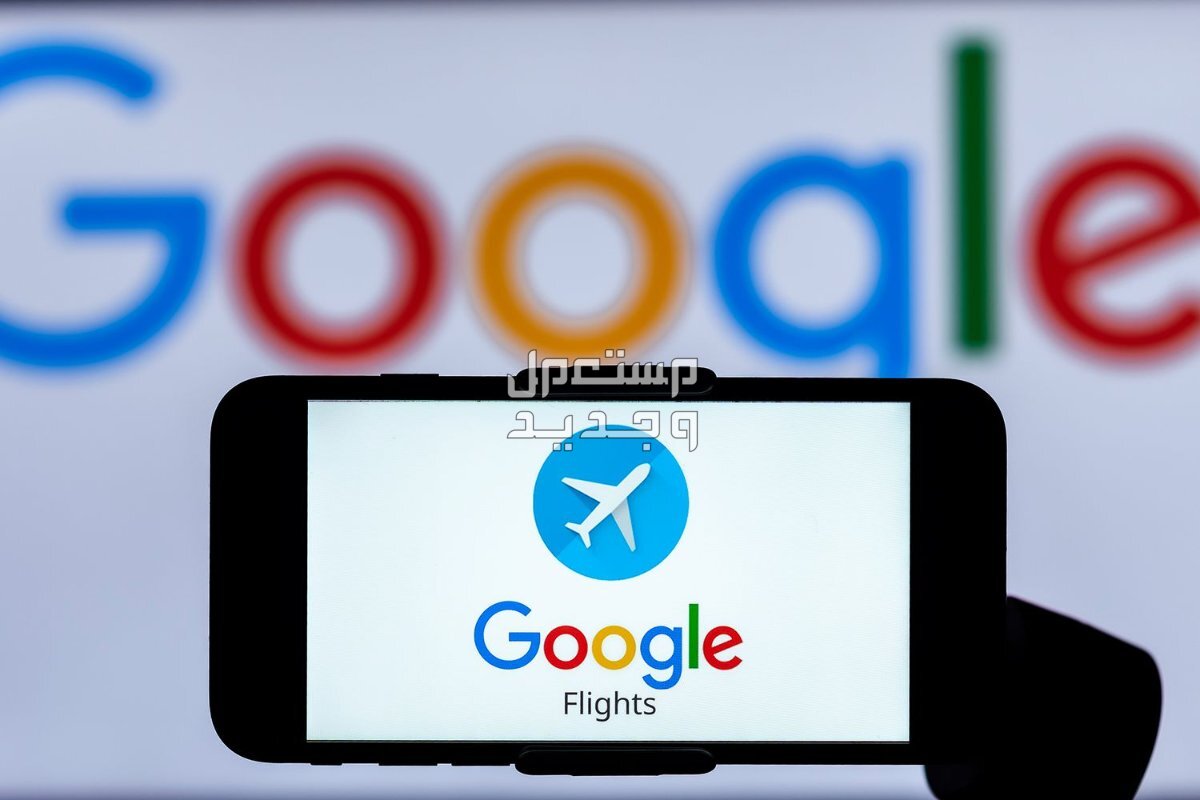 عروض مصر للطيران 2024.. تذاكر بأسعار مخفضة 50% في قطر Google Flights