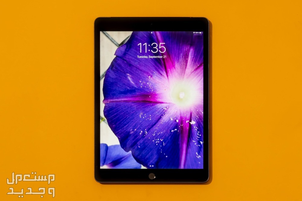 صور ايباد برو الجديد 2024 iPad Pro وسعره ايباد بردو الجديد iPad Pro 2024