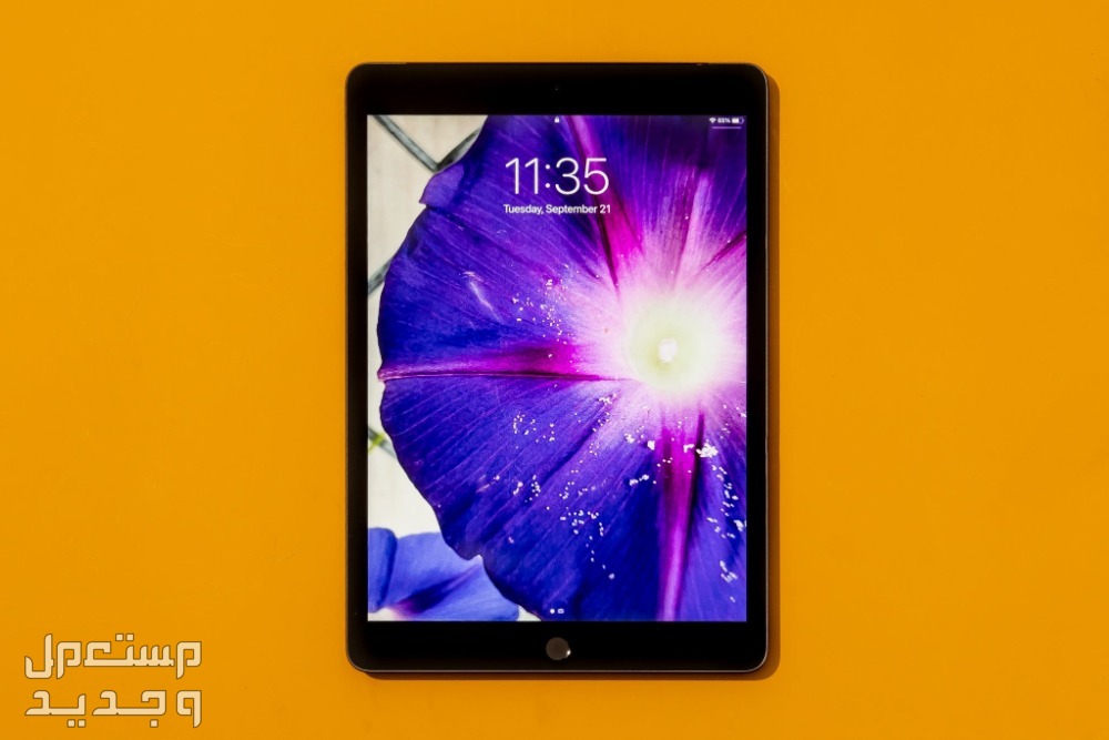 صور ايباد برو الجديد 2024 iPad Pro وسعره في اليَمَن ايباد بردو الجديد iPad Pro 2024