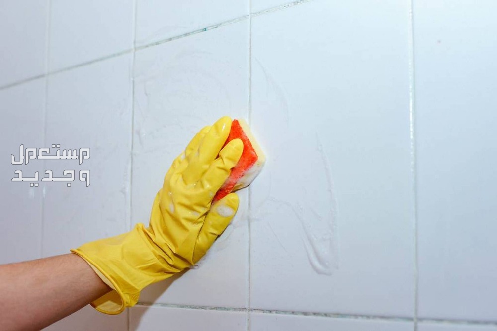 أسهل طريقة لتنظيف جدار المطبخ من الدهون في جيبوتي أسهل طريقة لتنظيف جدار المطبخ من الدهون