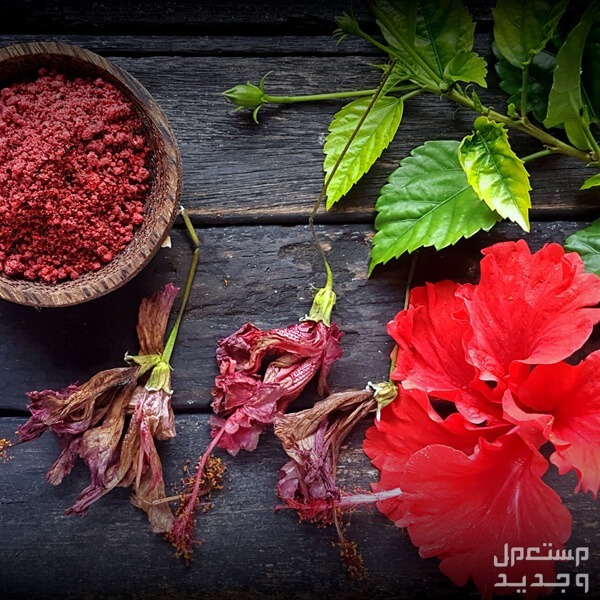 تجربتي مع بخاخ الكركديه للشعر فوائده وطريقة التحضير ماسك الكركدية للشعر