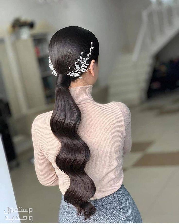 تسريحات شعر طويل للمناسبات 2024 تسريحة شعر  دوائر