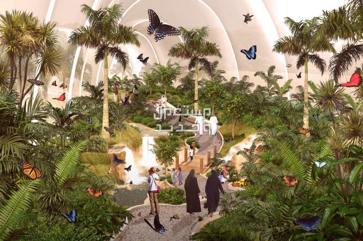 أفضل 10 أماكن في الرياض لقضاء اجازة العيد والاستمتاع بها في 2024 حديقة الملك عبدالله