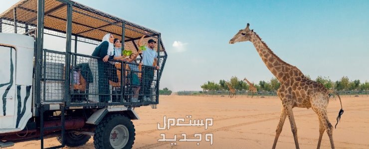 أفضل 10 أماكن في الرياض لقضاء اجازة العيد والاستمتاع بها في 2024 في اليَمَن حديقة الحيوان