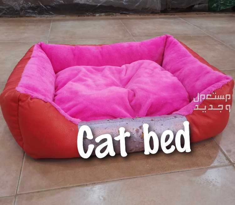بيت وسرير كبير الحجم يسع القطط والكلاب للبيع