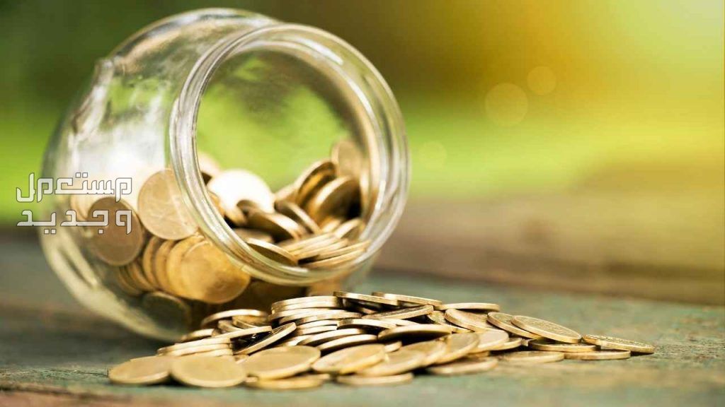 حقيقة صرف المكرمة الملكية لعيد الأضحى 2024 كم مبلغ مكرمة الملك سلمان؟