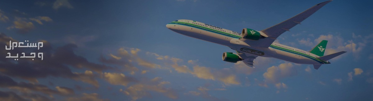 أفضل 10 مواقع حجز ارخص طيران على الإنترنت 2024 بسهولة في جيبوتي مواقع حجز ارخص طيران على الإنترنت