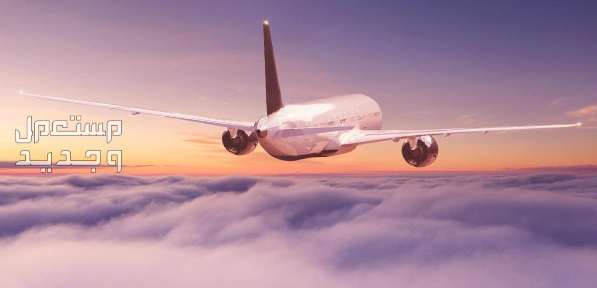 أفضل 10 مواقع حجز ارخص طيران على الإنترنت 2024 بسهولة أفضل مواقع حجز ارخص طيران