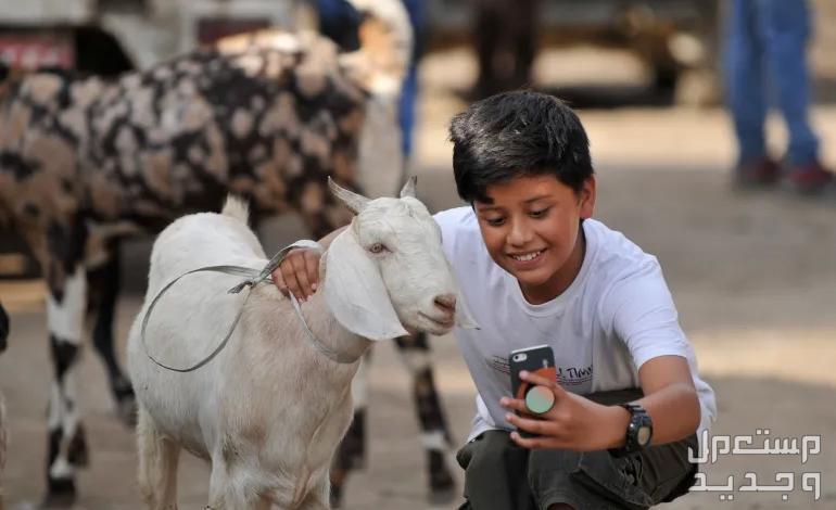 موعد يوم عرفة فلكيا 2024 ومتى عيد الأضحى في الأردن طفل يلتقط صورة مع ماعز
