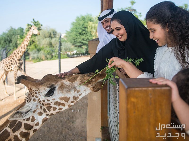 إجازة عيد الأضحى للمدارس 2024.. وأجمل عبارات تهنئة العيد عطلة عيد الأضحى 2024