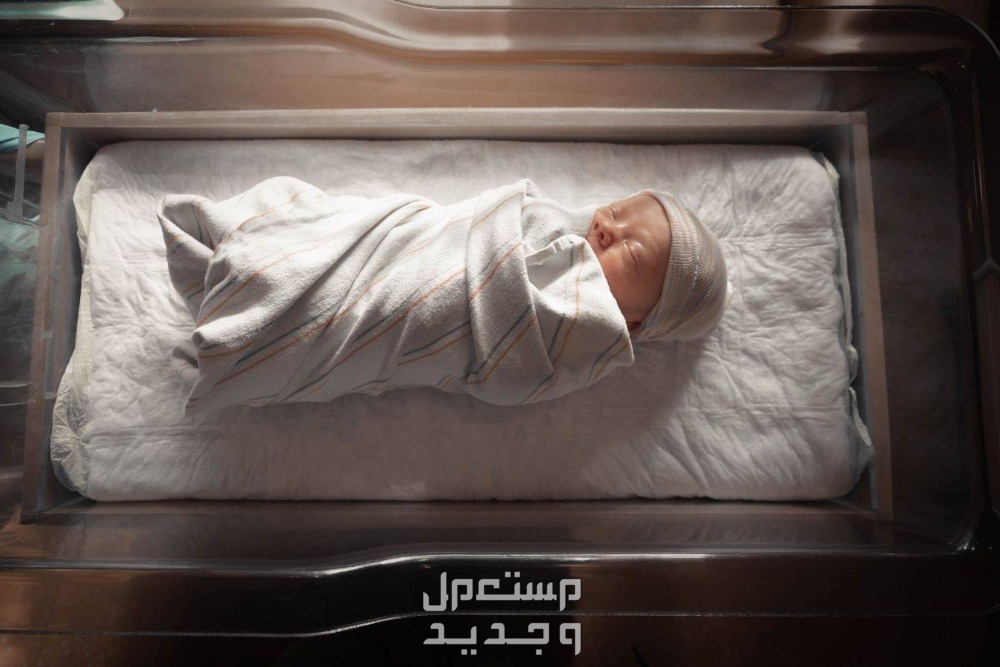 تفسير حلم الولادة للعزباء بدون زواج في الجزائر طفل رضيع