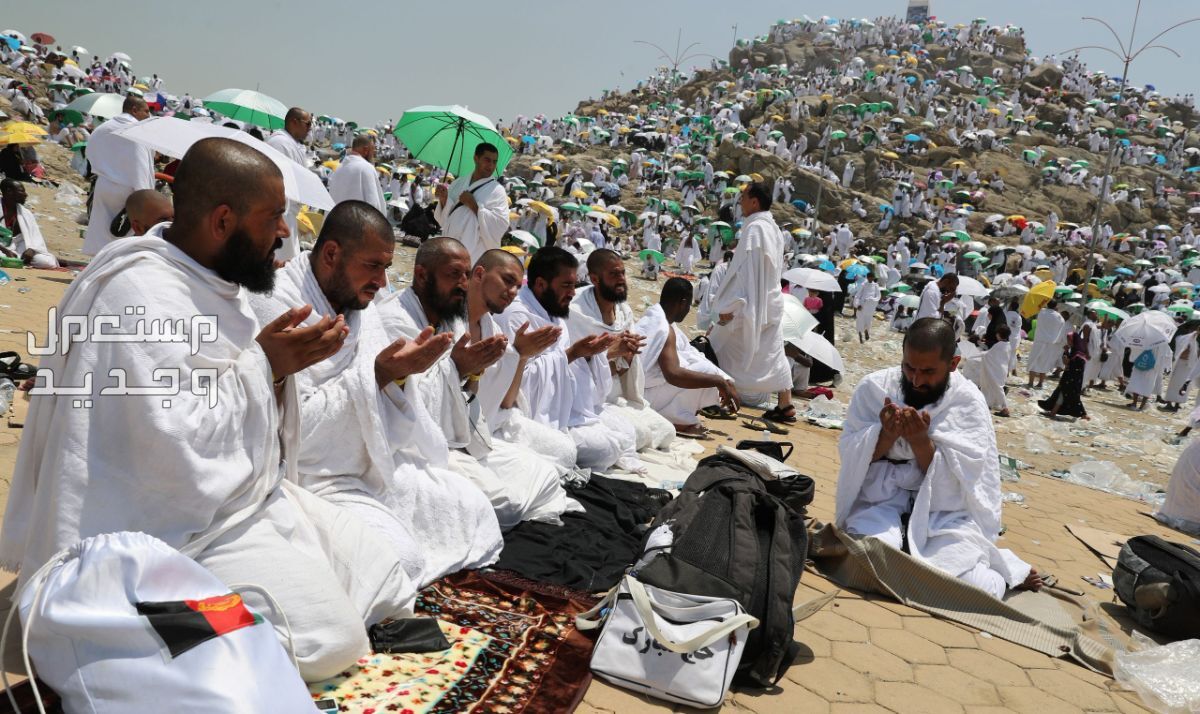 تعرف على شروط الحج 2024 وأركانه في موريتانيا مسلمون في يوم عرفة