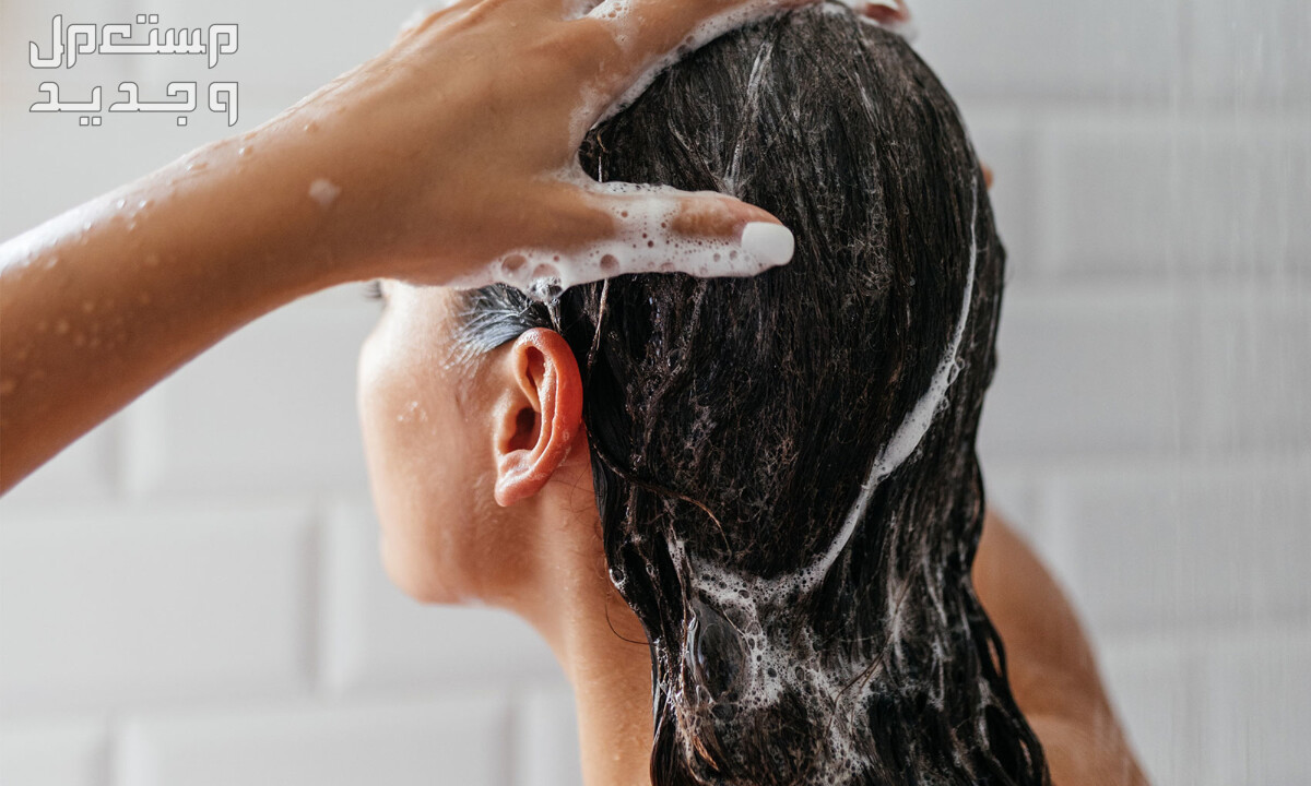 طريقة غسل الشعر من الزيت بالبلسم في اليَمَن تنظيف الشعر