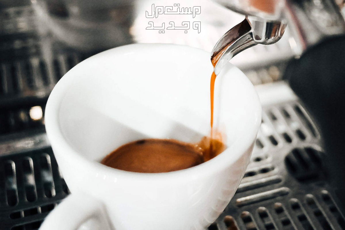 نسبة الكافيين في القهوة العربية مقارنة بالأنواع الأخرى في الأردن الكافيين في القهوة