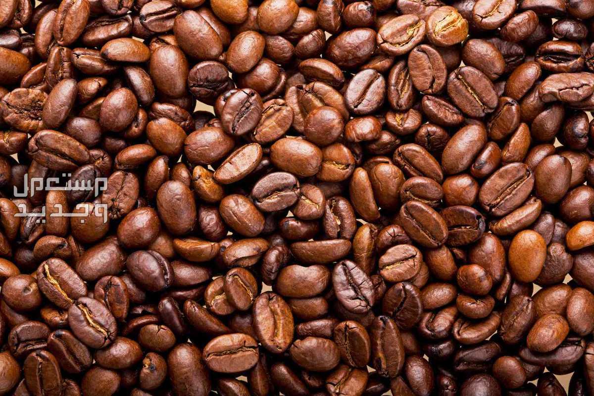 نسبة الكافيين في القهوة العربية مقارنة بالأنواع الأخرى في الأردن فوائد الاستهلاك المعتدل من الكافيين