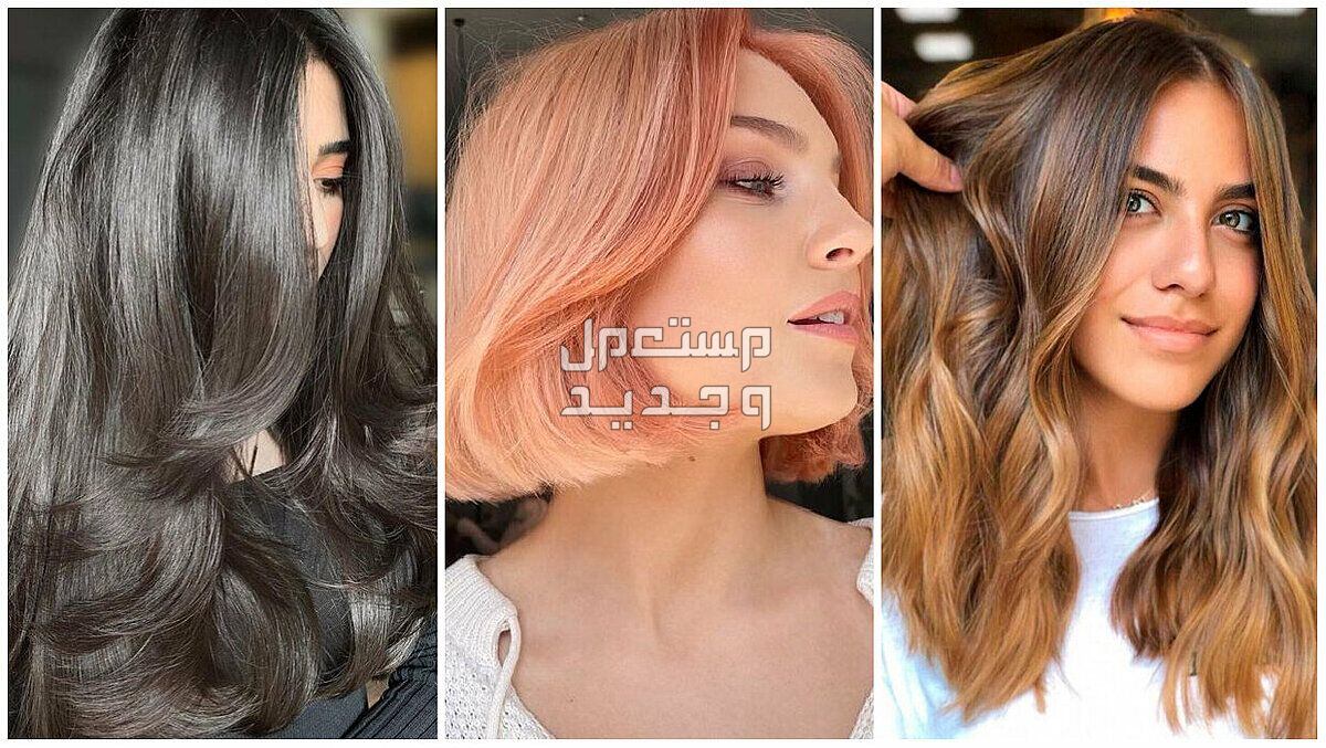 ما هي ألوان الشعر التي تفتح لون البشرة؟ في الأردن ماهي ألوان الشعر التي تفتح لون البشرة ؟