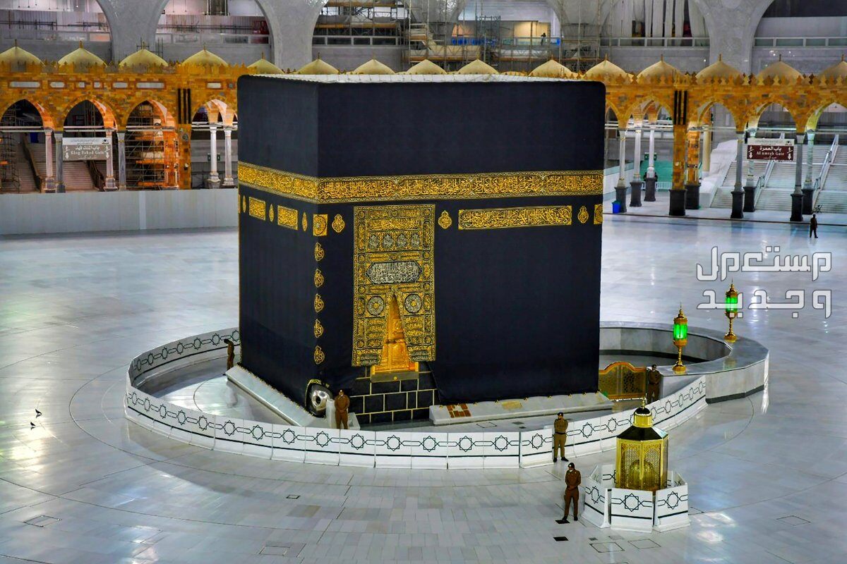 خطوات حجز لقاح الحج 2024 لحجاج الداخل والخارج موسم الحج 1445- 2024