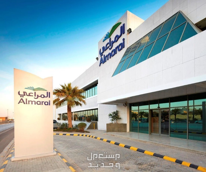 شروط وظائف شركة المراعي والتخصصات المطلوبة في عمان شركة المراعي