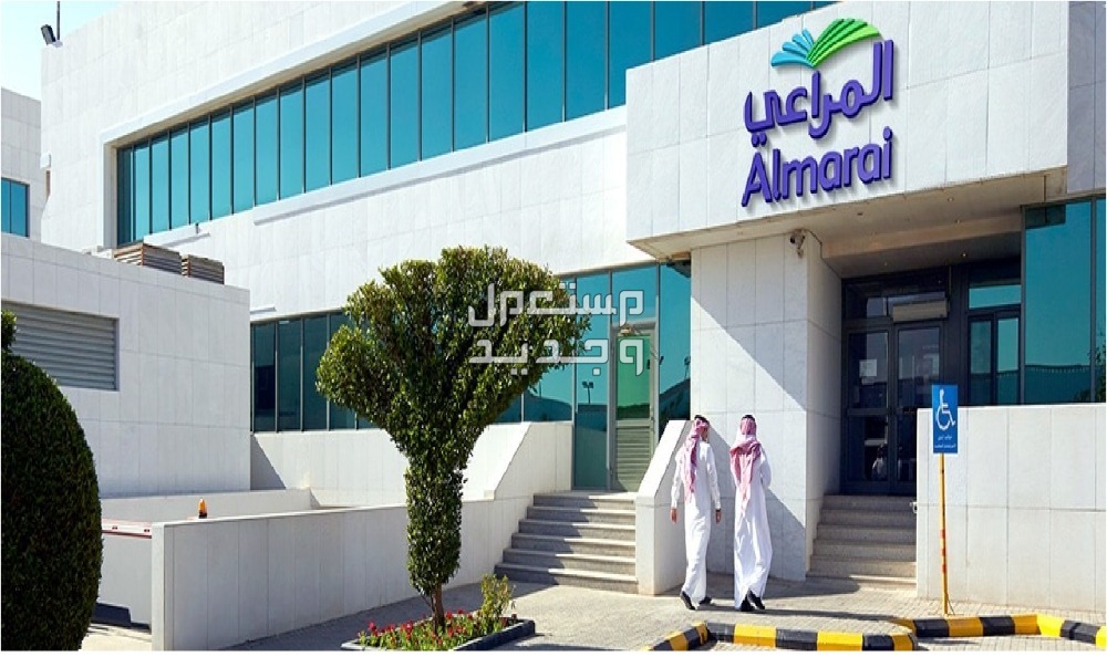 شروط وظائف شركة المراعي والتخصصات المطلوبة في قطر شركة المراعي