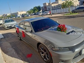 تزيين و تشريع سيارات العرسان زفه