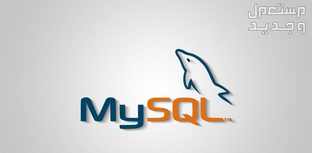 إنشاء قاعده بيانات باستخدام MySQL