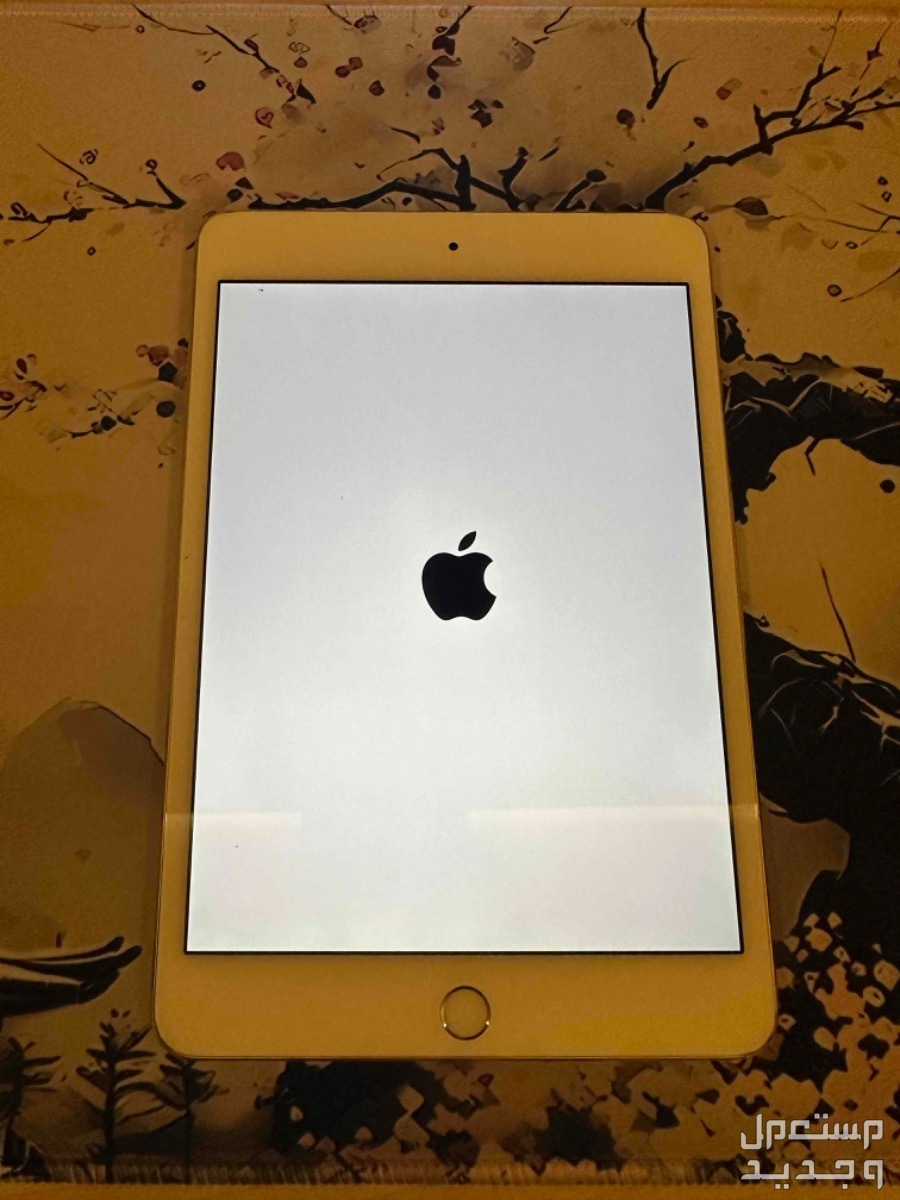 ايباد ميني 4   iPad Mini 4 في الرياض بسعر 400 ريال سعودي