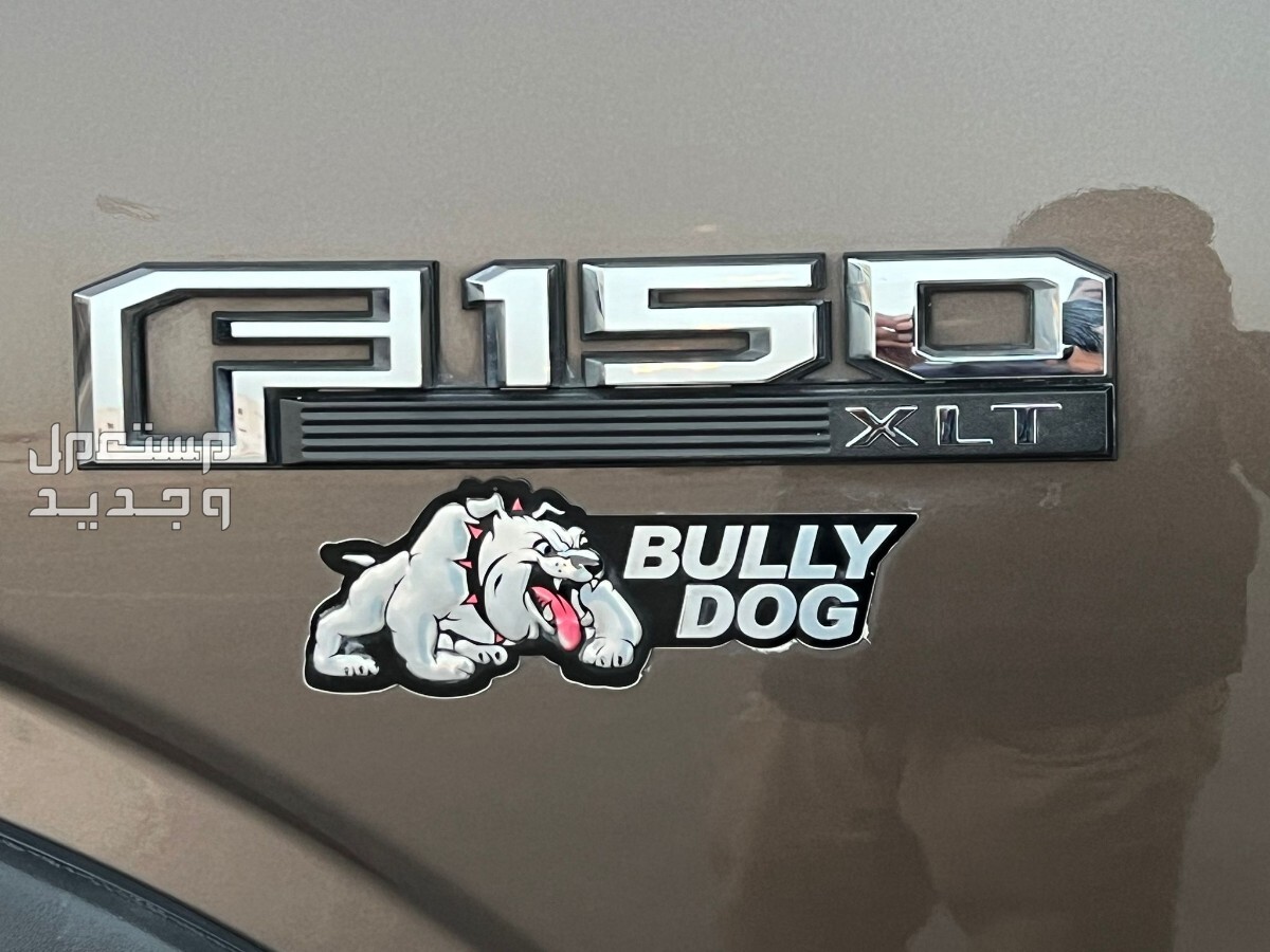 Ford F150 XLT PLATINUM V8 5.0 MODEL 2015  BULLY DOG EDITION FOR SALE