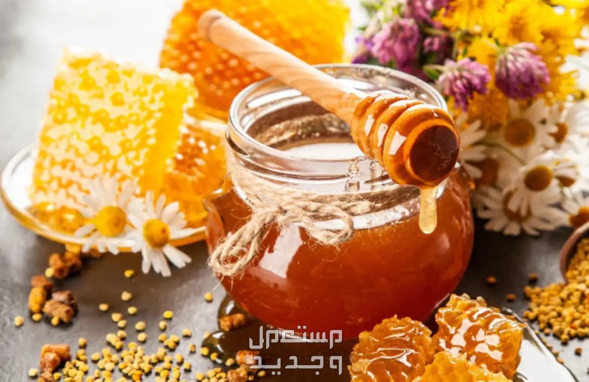 الفرق بين العسل الجبلي وعسل السدر الفرق بين العسل الجبلي وعسل السدر