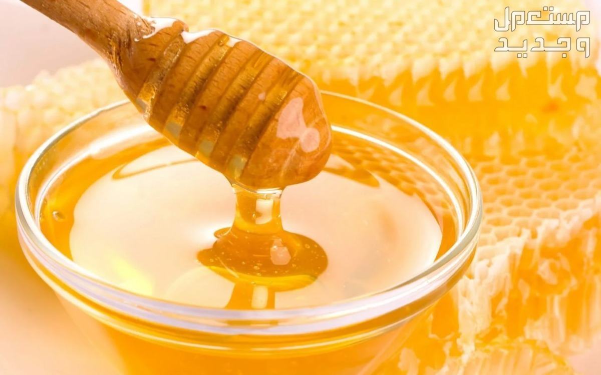 الفرق بين العسل الجبلي وعسل السدر عسل السدر