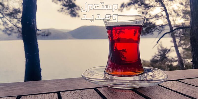 أفضل أنواع الشاي الأحمر: دليلك الشامل لاختيار الأفضل شاي أحمر عربي