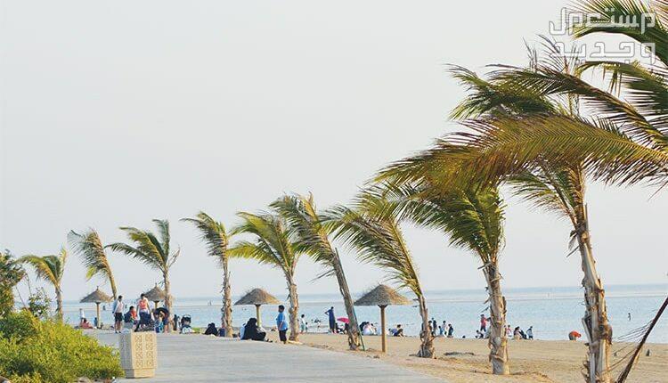 اماكن سياحية في جدة للعوائل على البحر 2024 لرحلة مليئة بالمغامرة شاطئ السيف