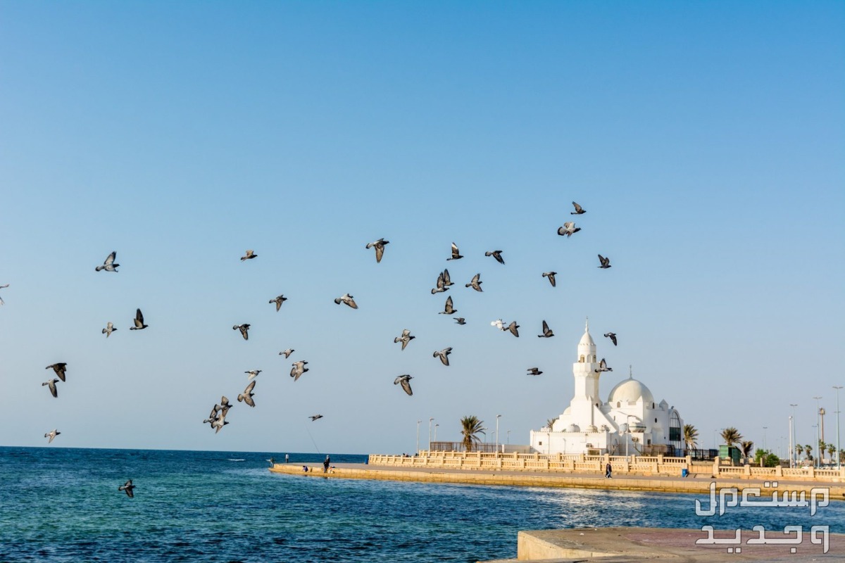 اماكن سياحية في جدة للعوائل على البحر 2024 لرحلة مليئة بالمغامرة اماكن سياحية في جدة للعوائل