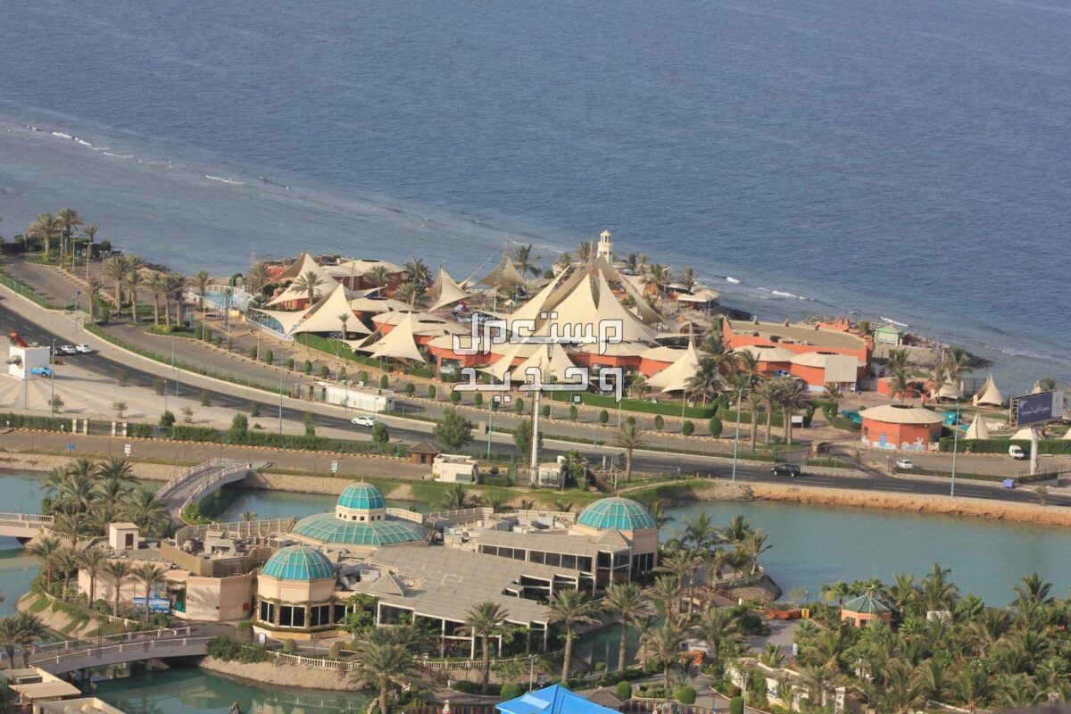 اماكن سياحية في جدة للعوائل على البحر 2024 لرحلة مليئة بالمغامرة في الإمارات العربية المتحدة جزيرة الشراع بجدة
