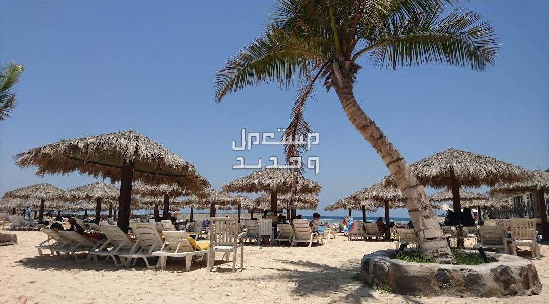 اماكن سياحية في جدة للعوائل على البحر 2024 لرحلة مليئة بالمغامرة في الأردن لا بلاج