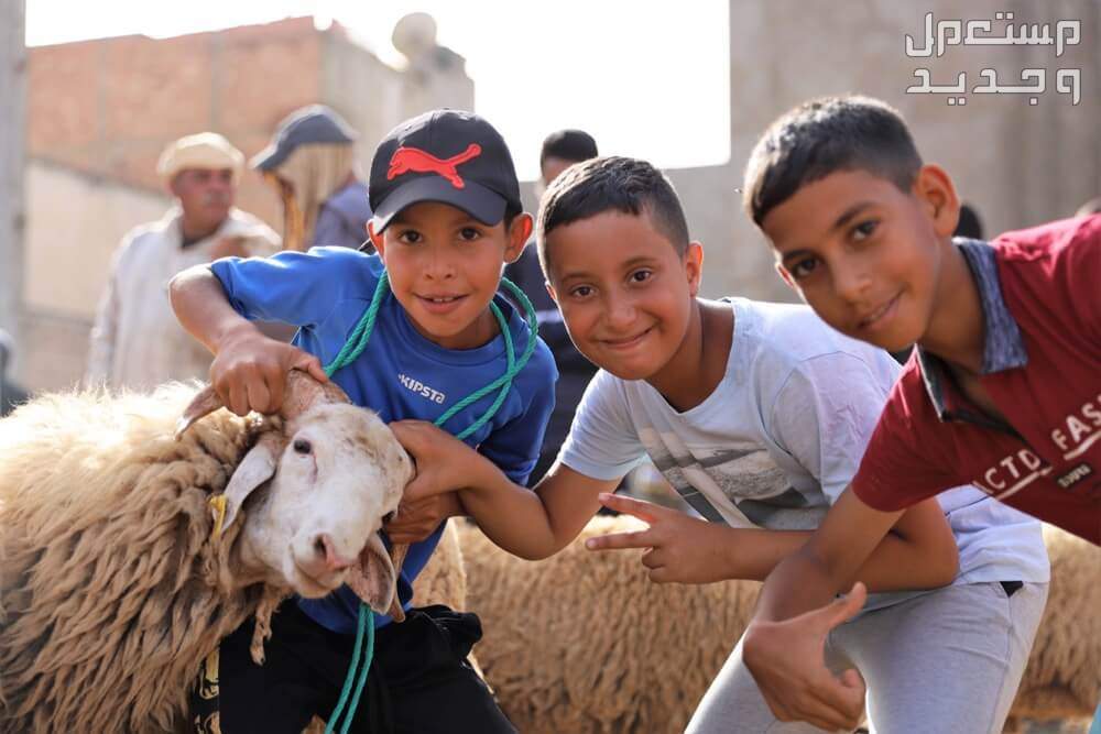 سعر صك الأضحية في الحج 2024 في المغرب الأطفال مع الاضحية