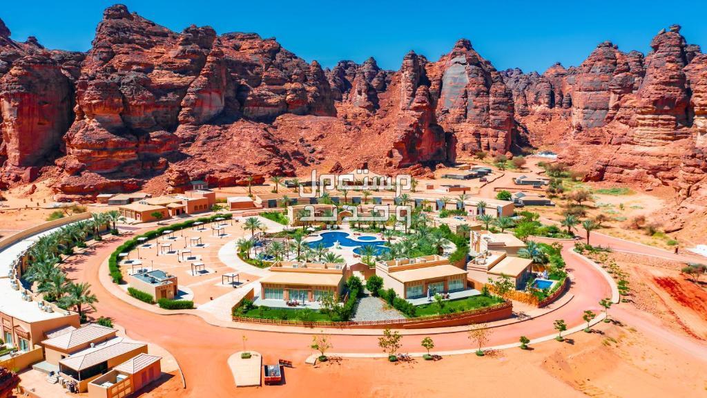 أنشطة وفعاليات صيف العلا 2024 "صيف لم يرو".. وأفضل فندق للإقامة في السعودية أنشطة وفعاليات صيف العلا 2024 "صيف لم يرو"