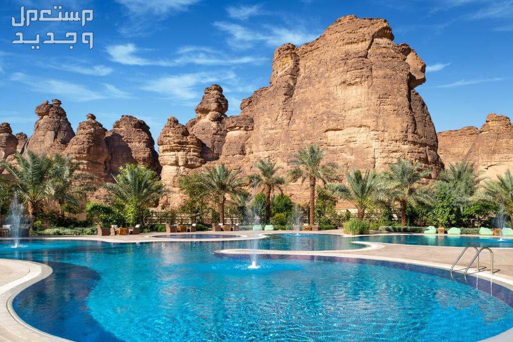 أنشطة وفعاليات صيف العلا 2024 "صيف لم يرو".. وأفضل فندق للإقامة في السعودية فنادق مهرجان صيف العلا