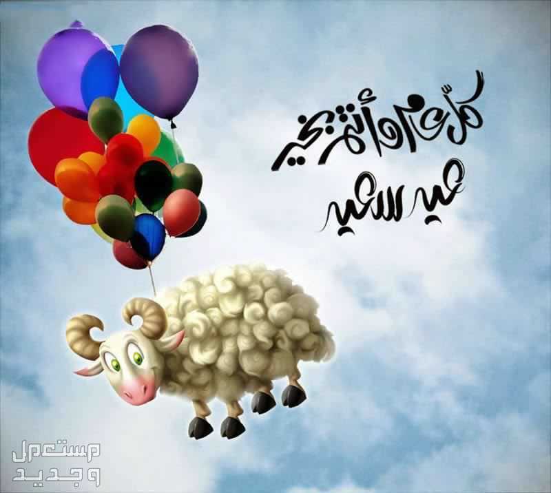 أجمل عبارات عيد الأضحى قصيرة للأصدقاء والأقارب تهنئة بالعيد