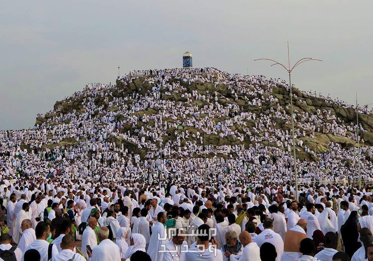 باقات موسم الحج الجديدة 2024.. بمزايا وخدمات ميسّرة
